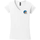 BagelEddi's Softstyle Ladies Fit V-Neck T-Shirt