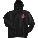 South Pittsburgh Rebellion Ultimate Cotton - Pullover Hooded Sweatshirt