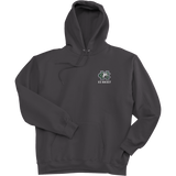 FRC Colts Neck Super Heavyweight Fleece Hoodie