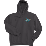 Boca Barracudas Ultimate Cotton - Pullover Hooded Sweatshirt