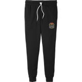 Danville Iron Breakaway Youth Jogger Pants