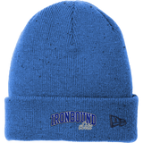 Ironbound New Era Speckled Beanie