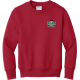 Wash U Youth Core Fleece Crewneck Sweatshirt